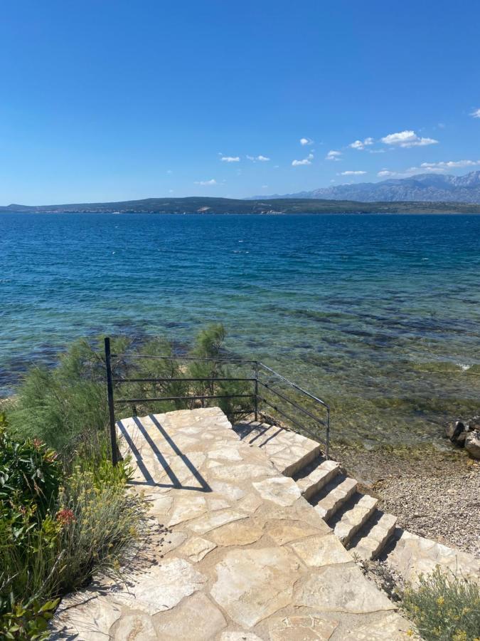 Lägenhet Mikecin Novigrad (Dalmatia)